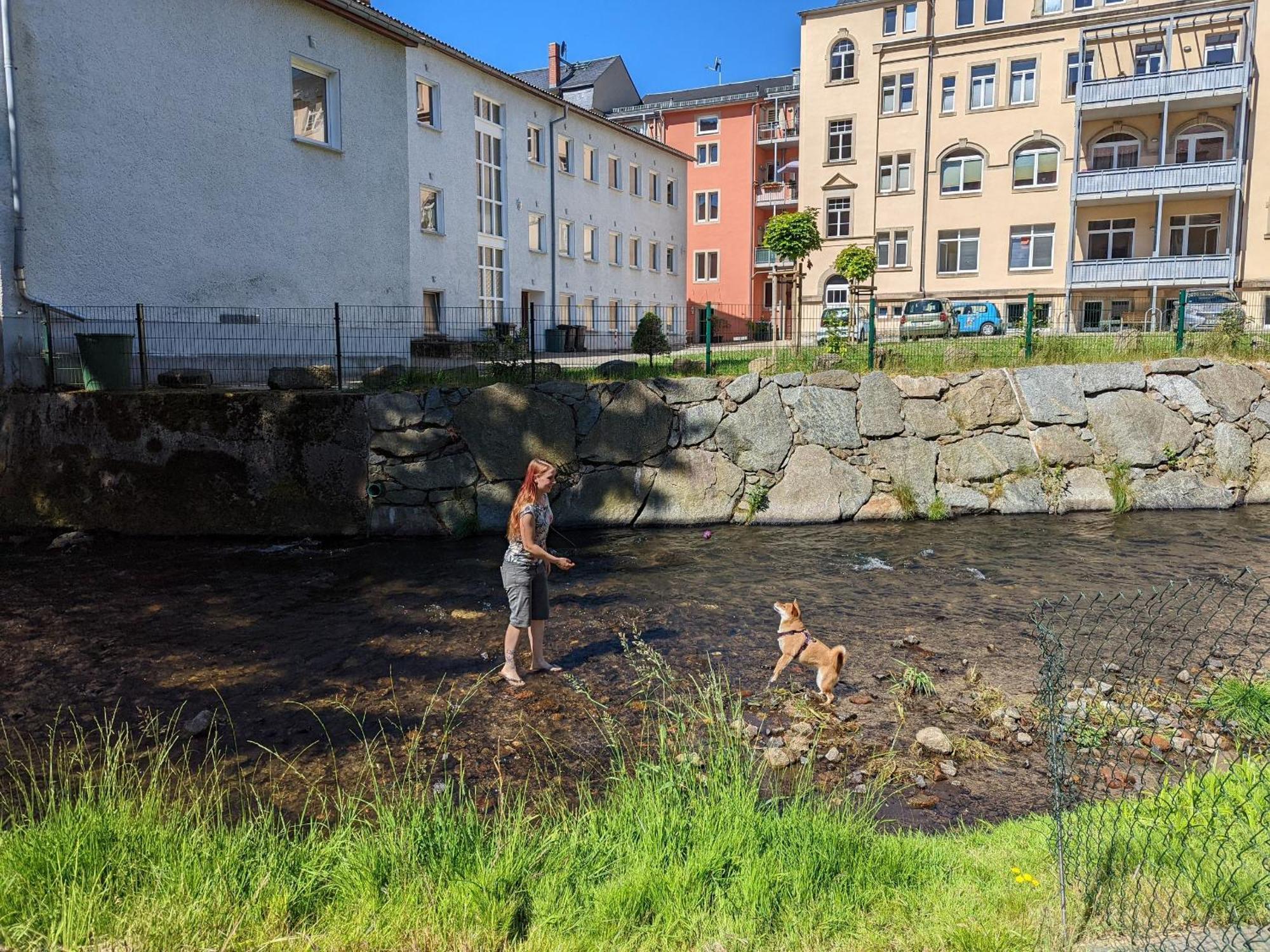 Hw2 - Urlaubsmagie - Sauna & Whirlpool Fuer Alle Sebnitz Exteriör bild