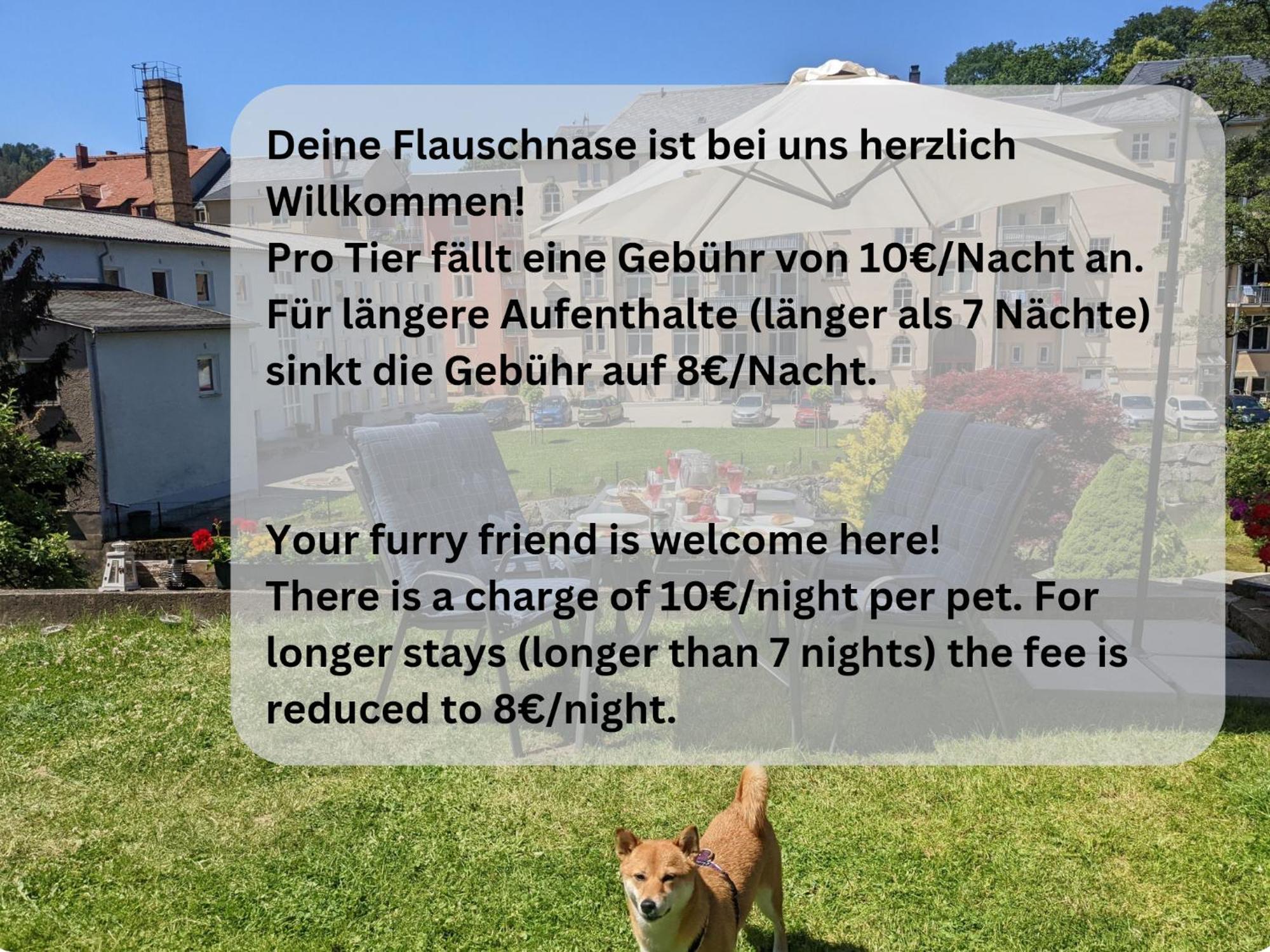Hw2 - Urlaubsmagie - Sauna & Whirlpool Fuer Alle Sebnitz Exteriör bild